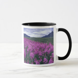 Nordamerika, Kanada, Yukon. Feuerkraut blüht Tasse