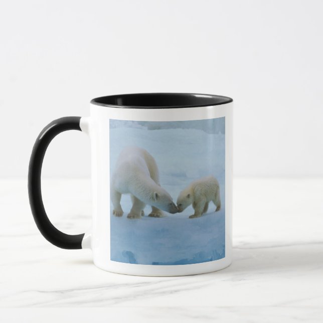 Nordamerika, Kanadische Arktis. Eisbär Tasse (Links)