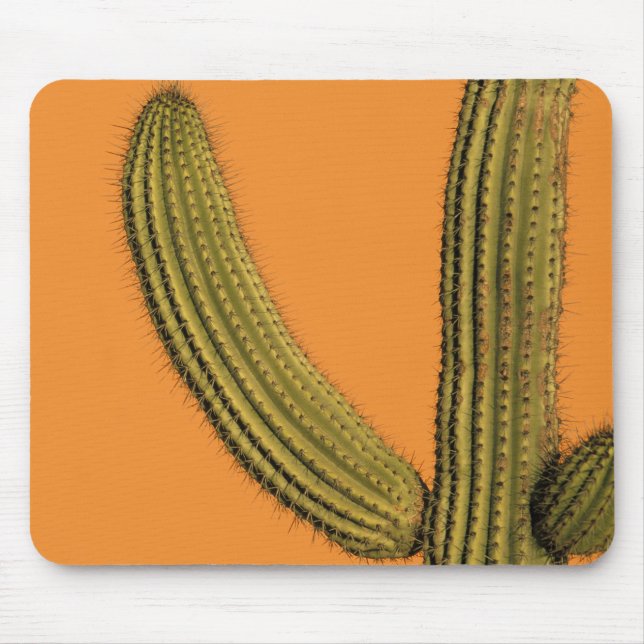 Nordamerika, Mexiko, Baja California, Cabo Mousepad (Vorne)