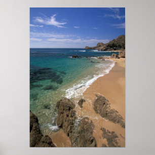 Nordamerika, Mexiko, Baja California Sur, Poster