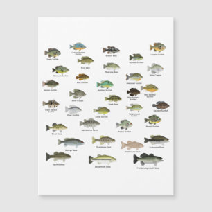 Nordamerika Sunfish Group Magnetkarte