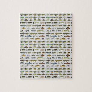 Nordamerika Süßwasserfisch Gruppe Canvas Print Puzzle