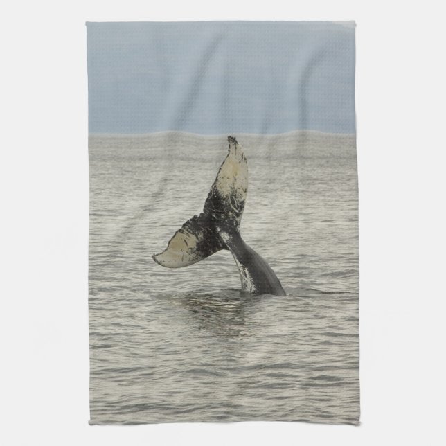 Nordamerika, USA, AK, Inside Passage. Humpback Handtuch (Vertikal)