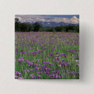 Nordamerika, USA, Alaska, Anchorage, Eklutna Button