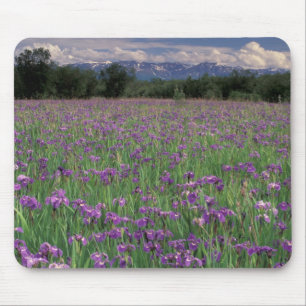 Nordamerika, USA, Alaska, Anchorage, Eklutna Mousepad