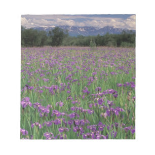 Nordamerika, USA, Alaska, Anchorage, Eklutna Notizblock