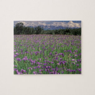 Nordamerika, USA, Alaska, Anchorage, Eklutna Puzzle