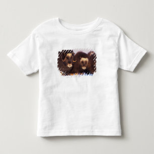 Nordamerika, USA, Alaska, Arktischer Kreis, Kleinkind T-shirt