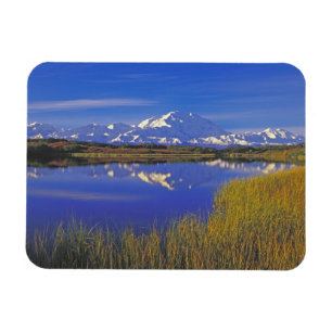 Nordamerika, USA, Alaska, Denali NP Magnet