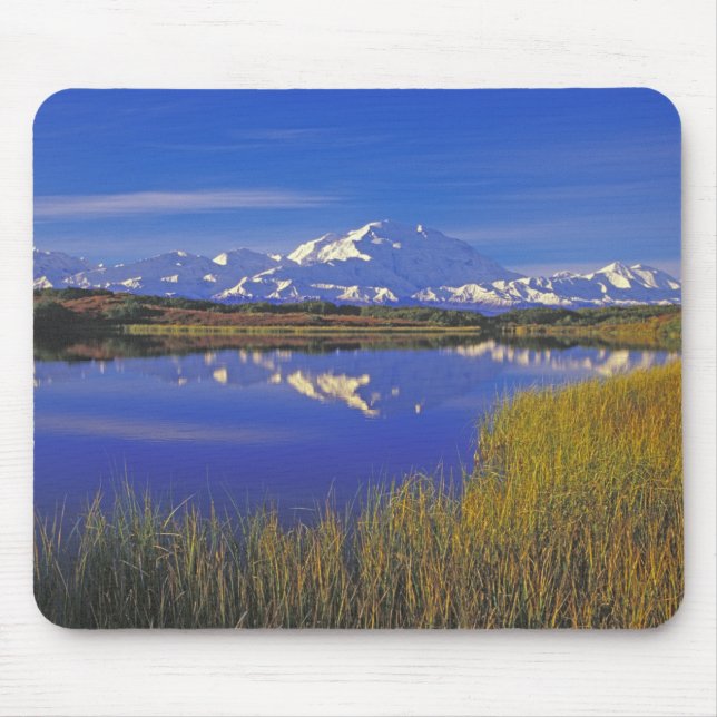 Nordamerika, USA, Alaska, Denali NP, Mousepad (Vorne)