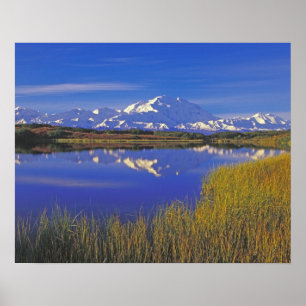 Nordamerika, USA, Alaska, Denali NP Poster