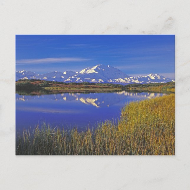 Nordamerika, USA, Alaska, Denali NP Postkarte (Vorderseite)