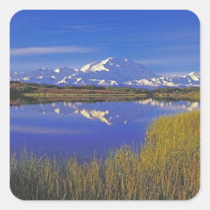 Nordamerika, USA, Alaska, Denali NP, Quadratischer Aufkleber