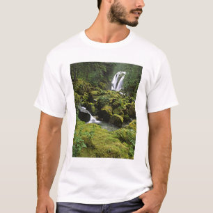 Nordamerika, USA, Alaska. Ein Wasserfall und T-Shirt