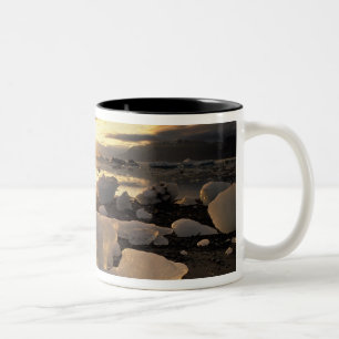 Nordamerika, USA, Alaska, Eisbucht, Eislandschaft, Zweifarbige Tasse
