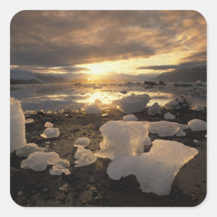 Nordamerika, USA, Alaska, Eisbucht, Icescape, Quadratischer Aufkleber