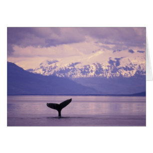 Nordamerika, USA, Alaska, Inside Passage.