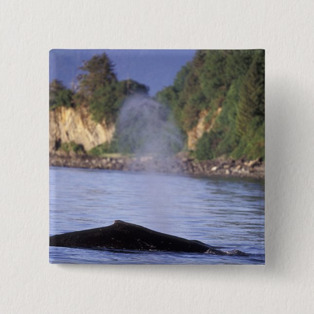 Nordamerika, USA, Alaska, Inside Passage. Button (Vorderseite)