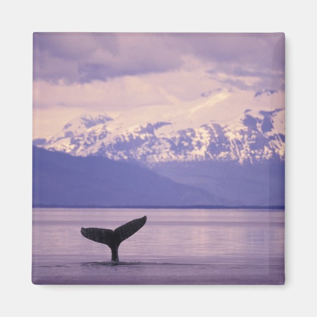 Nordamerika, USA, Alaska, Inside Passage. Magnet (Vorne)