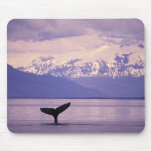 Nordamerika, USA, Alaska, Inside Passage. Mousepad