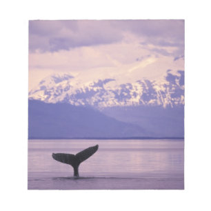 Nordamerika, USA, Alaska, Inside Passage. Notizblock