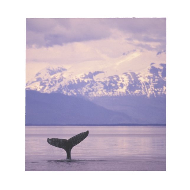 Nordamerika, USA, Alaska, Inside Passage. Notizblock (Vorderseite)