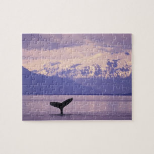 Nordamerika, USA, Alaska, Inside Passage. Puzzle