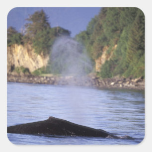 Nordamerika, USA, Alaska, Inside Passage. Quadratischer Aufkleber