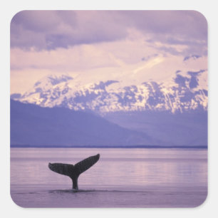 Nordamerika, USA, Alaska, Inside Passage. Quadratischer Aufkleber
