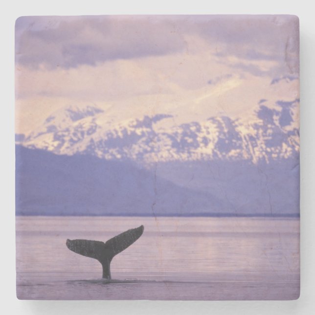 Nordamerika, USA, Alaska, Inside Passage. Steinuntersetzer (Vorderseite)