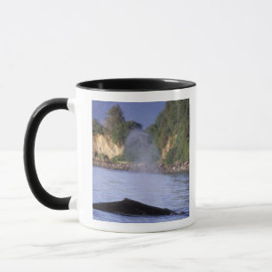 Nordamerika, USA, Alaska, Inside Passage. Tasse