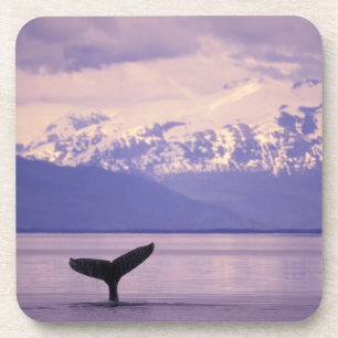 Nordamerika, USA, Alaska, Inside Passage. Untersetzer