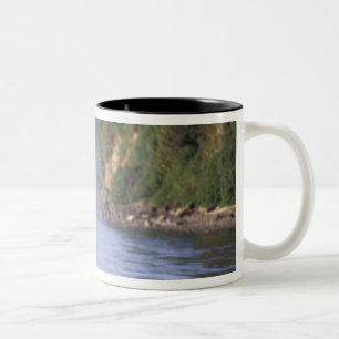 Nordamerika, USA, Alaska, Inside Passage. Zweifarbige Tasse