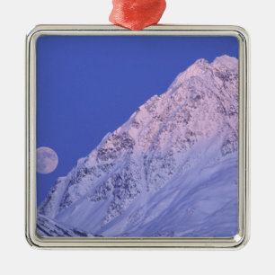 Nordamerika, USA, Alaska, Knik River, Silbernes Ornament
