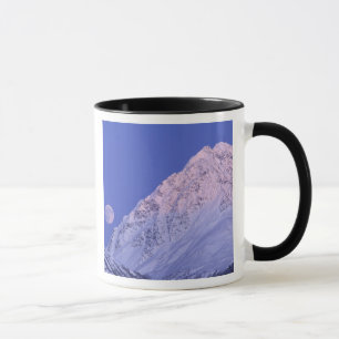 Nordamerika, USA, Alaska, Knik River, Tasse