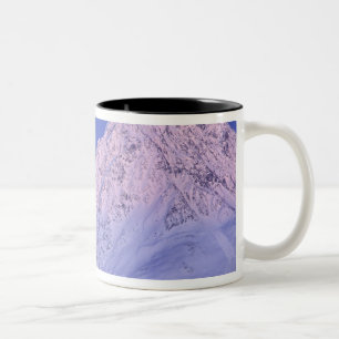 Nordamerika, USA, Alaska, Knik River, Zweifarbige Tasse