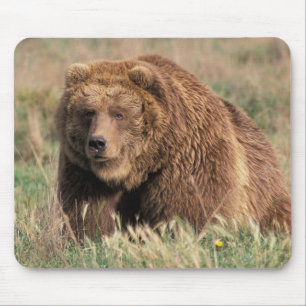 Nordamerika, USA, Alaska, Kodiak-Insel, Mousepad