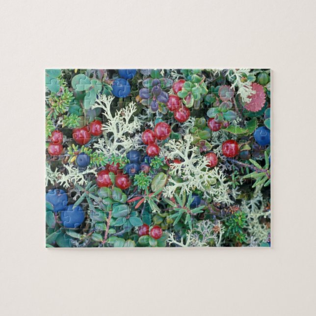 Nordamerika, USA, Alaska, Landschaft, Beeren Puzzle (Horizontal)