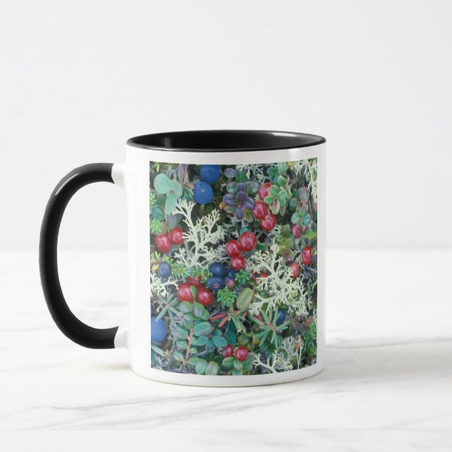 Nordamerika, USA, Alaska, Landschaft, Beeren Tasse (Links)