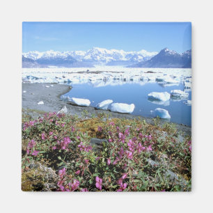 Nordamerika, USA, Alaska, Prince William Magnet