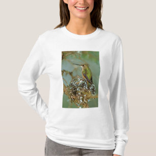 Nordamerika, USA, Alaska. Rubinkehlkolibri T-Shirt