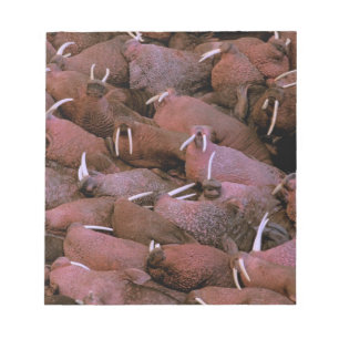 Nordamerika, USA, Alaska, Yukon Delta National Notizblock