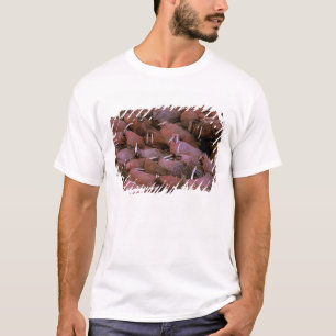 Nordamerika, USA, Alaska, Yukon-Delta-National T-Shirt