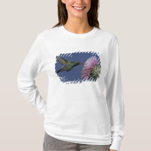 Nordamerika, USA, Arizona. Breitgesicht T-Shirt