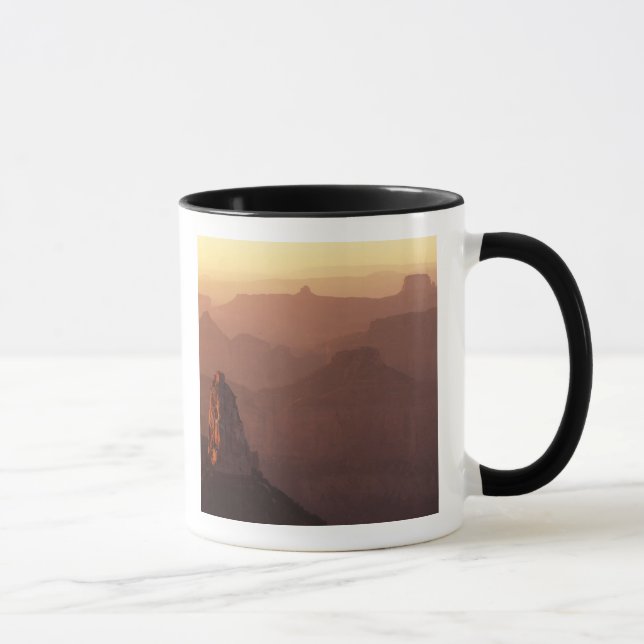 Nordamerika, USA, Arizona, Grand Canyon, Tasse (Rechts)