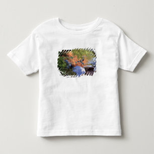 Nordamerika, USA, Arizona, Havasu Canyon, 3 Kleinkind T-shirt