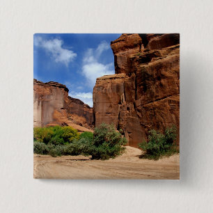 Nordamerika, USA, Arizona, Navajo India 5 Button