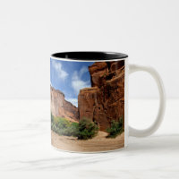 Nordamerika, USA, Arizona, Navajo India 5