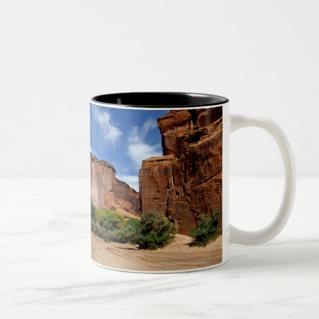 Nordamerika, USA, Arizona, Navajo India 5 Zweifarbige Tasse (Rechts)