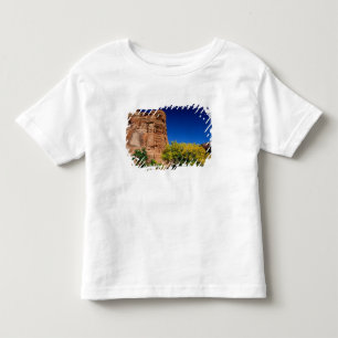 Nordamerika, USA, Arizona, Navajo Indianer 3 Kleinkind T-shirt